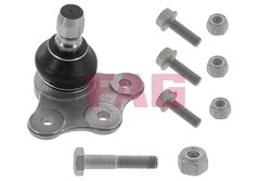 Pivot FAG 825 0363 10