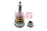 Pivot FAG 825 0418 10