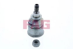 Pivot FAG 825 0426 10