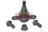 Pivot FAG 825 0442 10