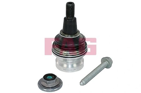 Pivot FAG 825 0443 10