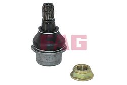 Pivot FAG 825 0469 10