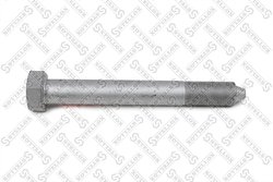 Surub Stellox 84-43924-SX