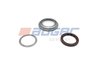 Set reparatie butuc roata Auger 84699