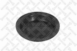 MEMBRANA CILINDRU FRANA STELLOX 85-15007-SX - Compatibil cu DAF, IVECO, MAN, MERCEDES-BENZ, RENAULT TRUCKS, SCANIA, VOLVO