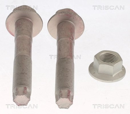 Set reparatie suspensie Triscan 8500 13401