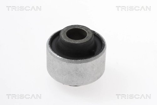 BUCSA SUSPENSIE TRISCAN 8500 25861 - Compatibil cu RENAULT