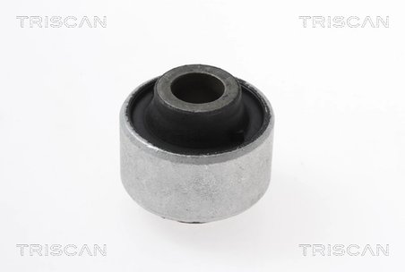 BUCSA SUSPENSIE TRISCAN 8500 25861 - Compatibil cu RENAULT