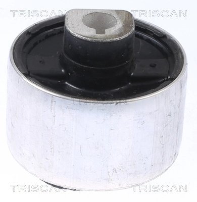 BUCSA SUSPENSIE TRISCAN 8500 25877 - Compatibil cu RENAULT