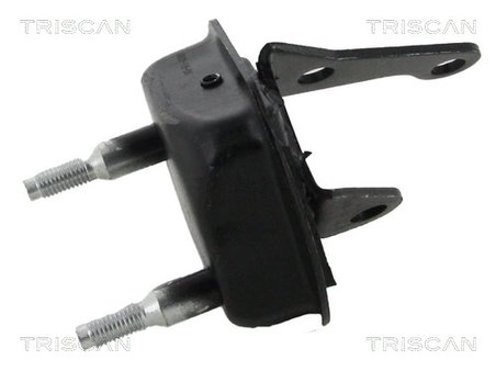 Bucsa punte Triscan 8500 28533