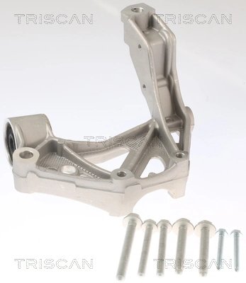 Bucsa punte Triscan 8500 295262