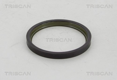 Inel senzor ABS Triscan 8540 10420