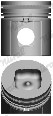 Piston Nural 87-101700-10
