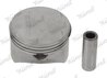 Piston Nural 87-102700-10