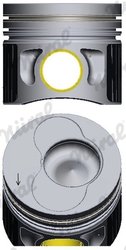 Piston Nural 87-114900-05