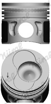 Piston Nural 87-114900-25