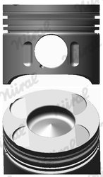 Piston Nural 87-117900-00