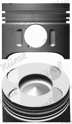 Piston Nural 87-117900-00