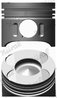 Piston Nural 87-117900-00