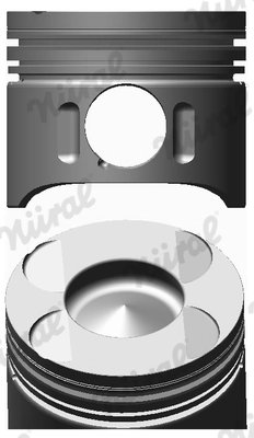 Piston Nural 87-117907-00
