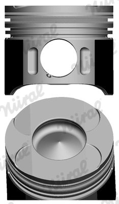 Piston Nural 87-117907-20