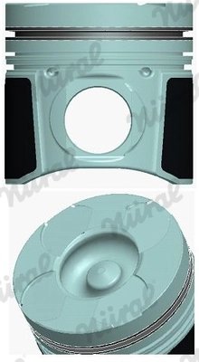 Piston Nural 87-127407-00