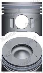 Piston Nural 87-136407-00