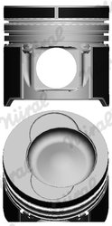 Piston Nural 87-136500-10