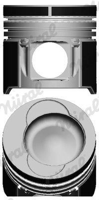 Piston Nural 87-136500-10