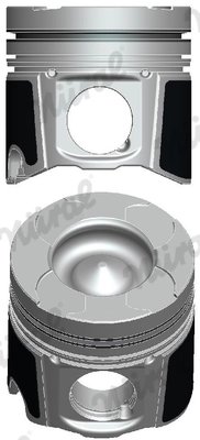 Piston Nural 87-137507-30