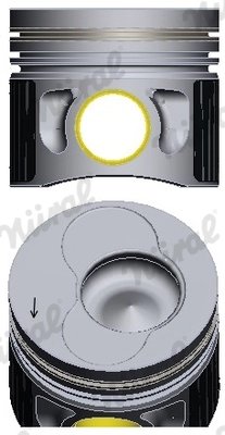 Piston Nural 87-139507-10