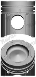 Piston Nural 87-143800-00
