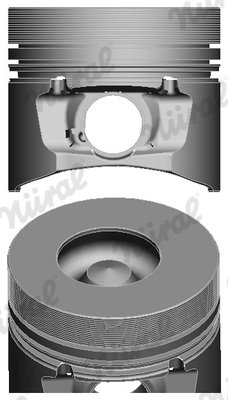 Piston Nural 87-146500-00