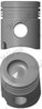 Piston Nural 87-174600-30