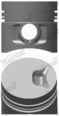 Piston Nural 87-176708-00