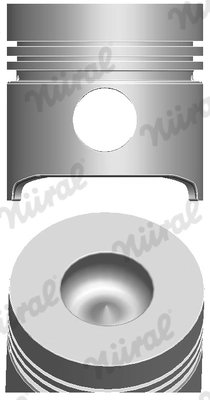 Piston Nural 87-206800-00