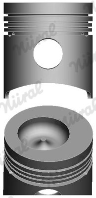Piston Nural 87-279600-10