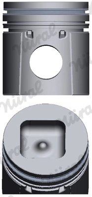 Piston Nural 87-325600-10