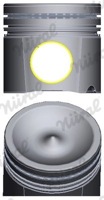 Piston Nural 87-420900-50