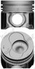 Piston Nural 87-421000-10