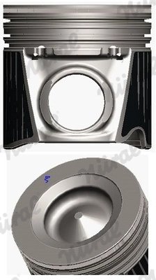 Piston Nural 87-421600-00