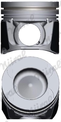 Piston Nural 87-422007-00