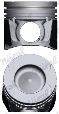 Piston Nural 87-422007-10