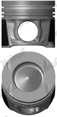 Piston Nural 87-424900-00