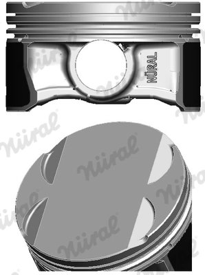 Piston Nural 87-425300-00