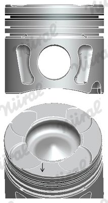 Piston Nural 87-425600-00
