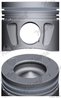 Piston Nural 87-427400-80