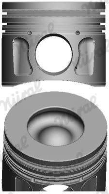 Piston Nural 87-427700-10