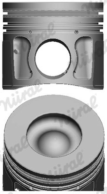 Piston Nural 87-427700-40
