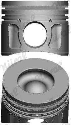 Piston Nural 87-427707-10